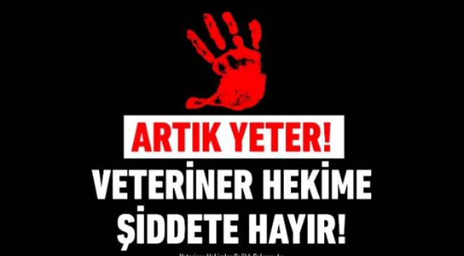 Veteriner Hekimleri Darp Ederek Hayvanları Koruyamazsınız!